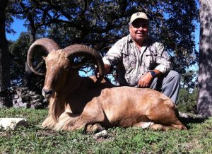 Effrain-Aoudad