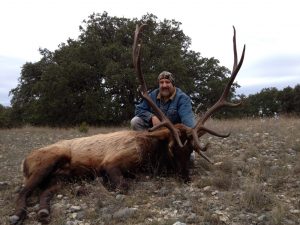 Elk-tx