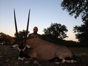 Gemsbok-1 copy