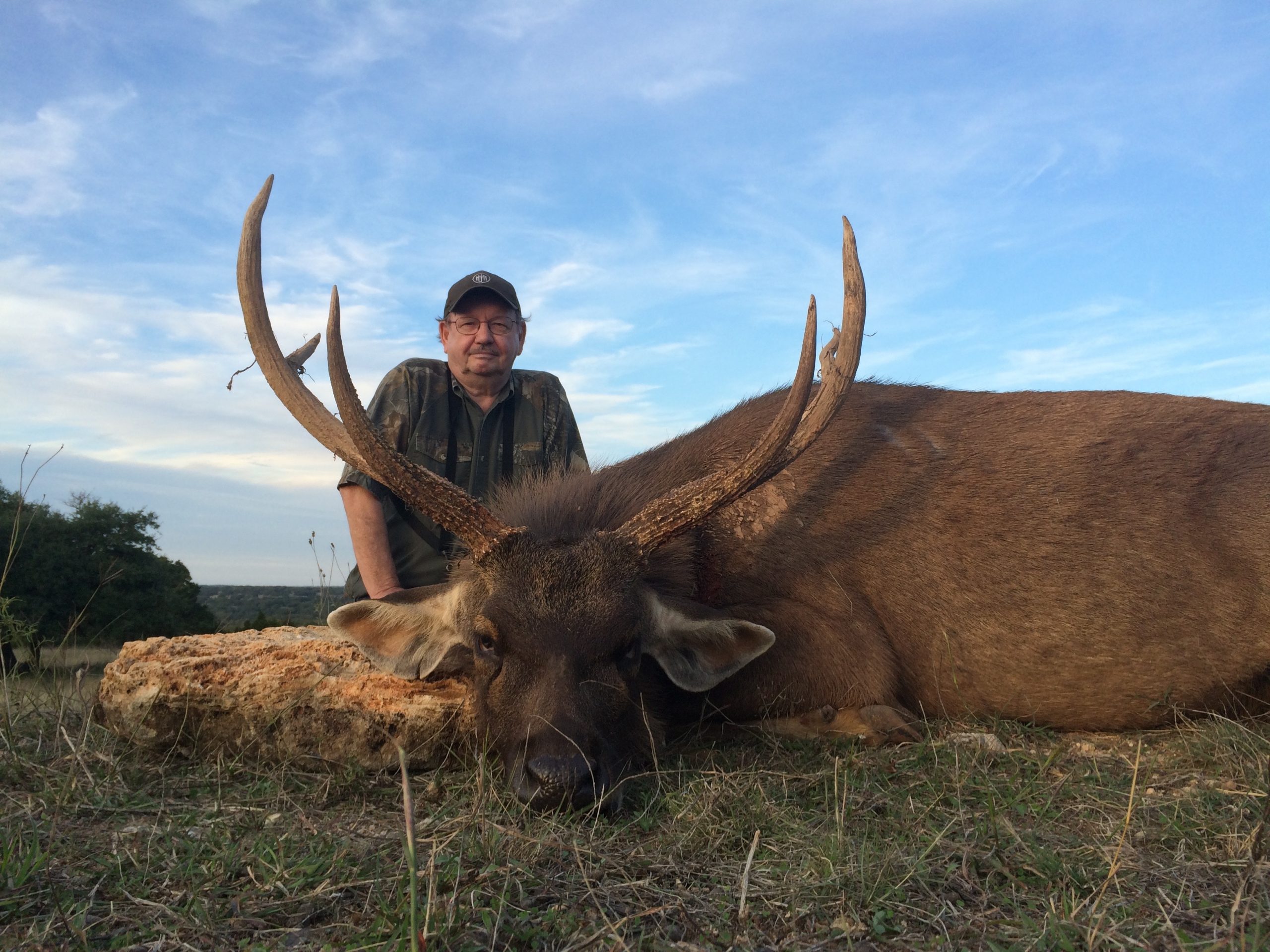 Sambar Deer Pope Brothers Guide Service Hunts In Texas Sambar Deer Pope Brothers Guide Service Hunts In Texas