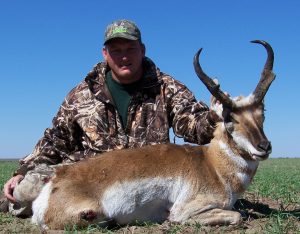 Jamison's antelope