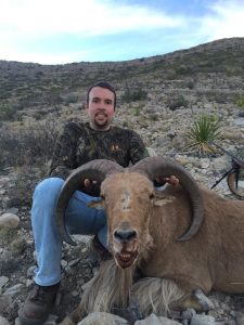 aoudad11(frank)