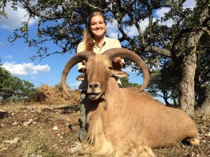 aoudad37