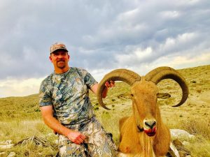 aoudad48 2