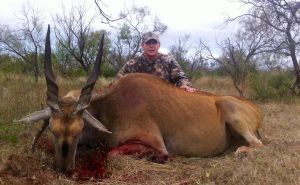 eland30