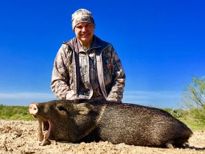 javelina